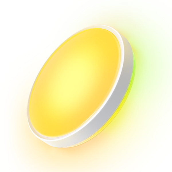 Govee Round Smart Ceiling Light 15inch