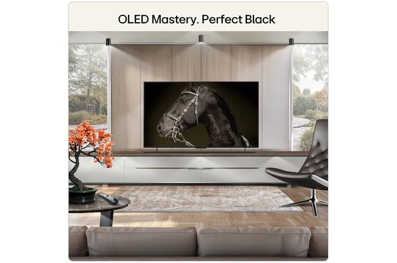 LG OLED42C64LA 42" 4K webOS TV, 120Hz, Dolby Vision IQ, Dolby Vision, HDR10, HLG