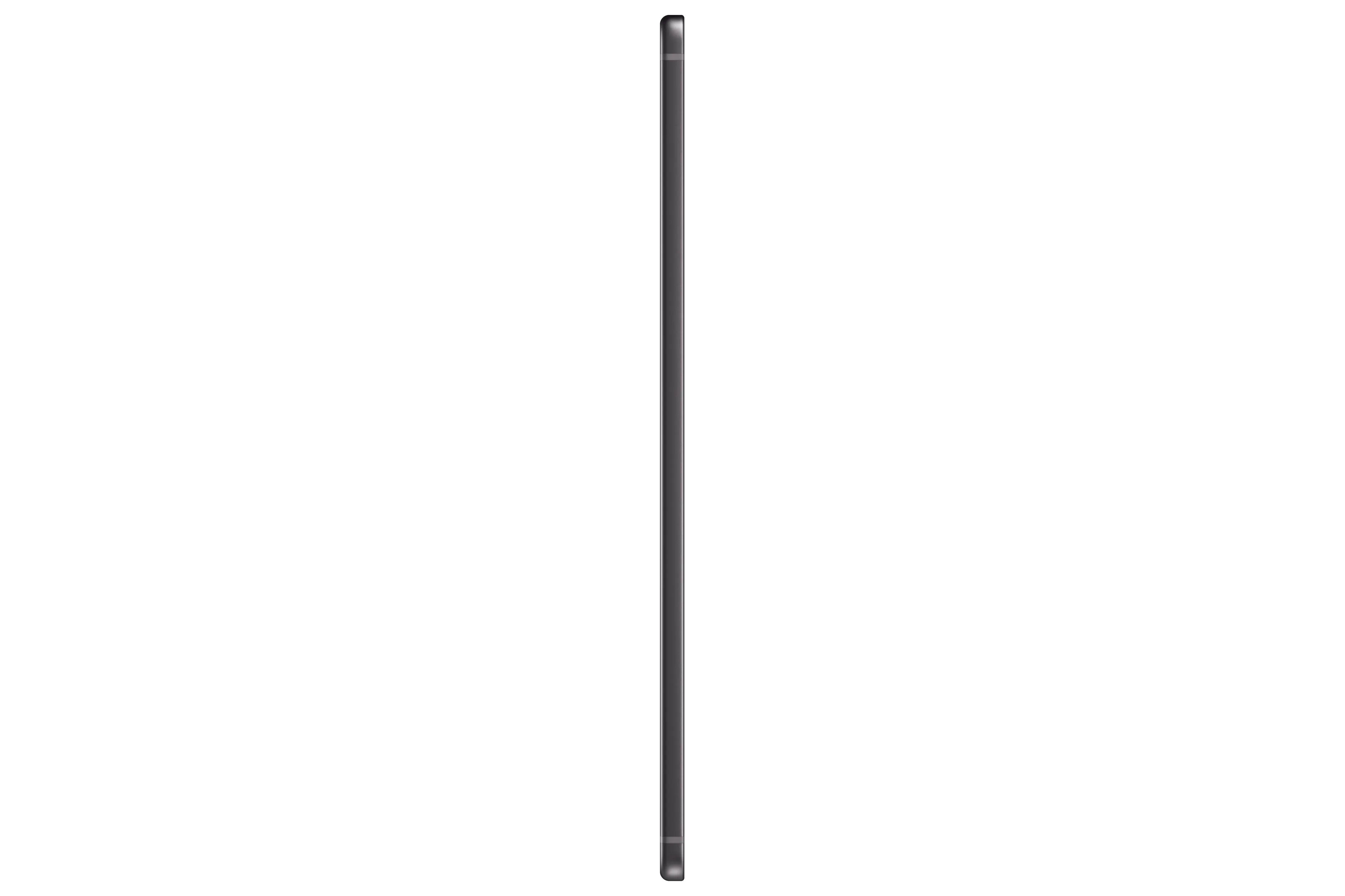 Samsung Galaxy Tab S6 lite 10.4&quot; 64 GB Wi-Fi Android - surfplatta, Gr&aring;