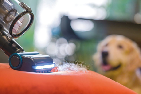 Hoover H-Free 900PET HF910P 011 varsi-imuri