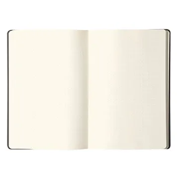 Rhodia Webnotebook A5 dot 96sh 90gsm Rhodia Webnotebook A5 dot 96sh 90gsm