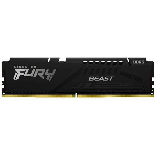 Kingston 16GB (1 x 16GB) DDR5 6000 MHz, CL30 Memory (EXPO/XMP)