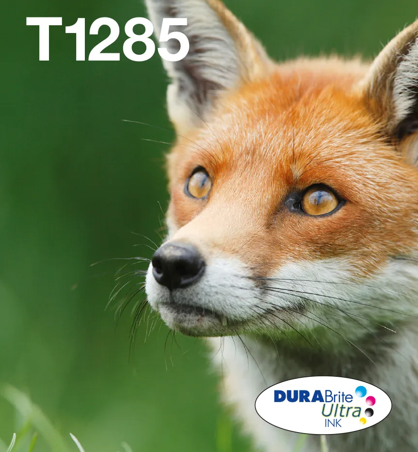 Epson T1285-mustekasettipakkaus, musta, syaani, magenta, keltainen, 4 kpl