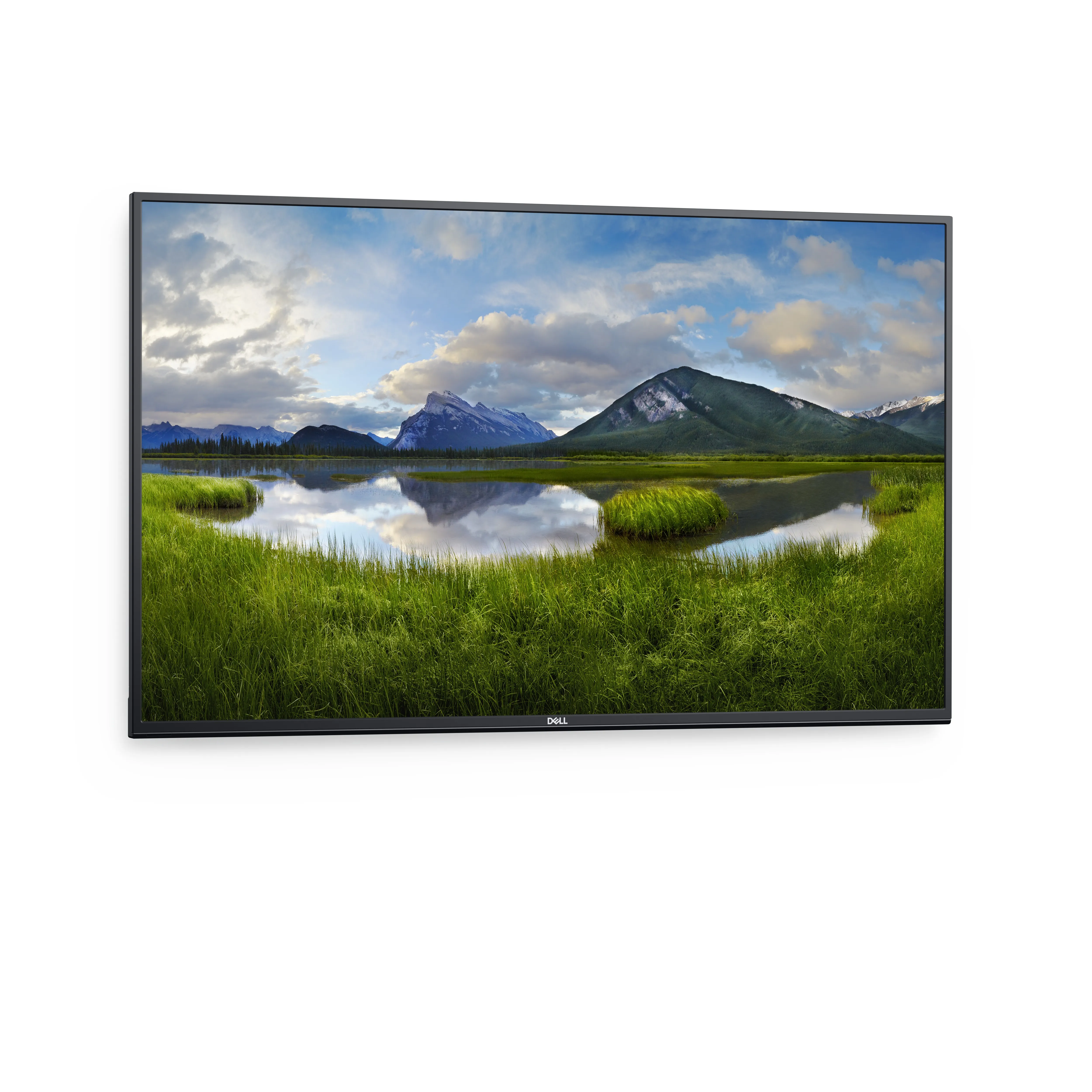 Dell 138.7 cm (54.6") P5524Q 4K UHD, VA - monitor