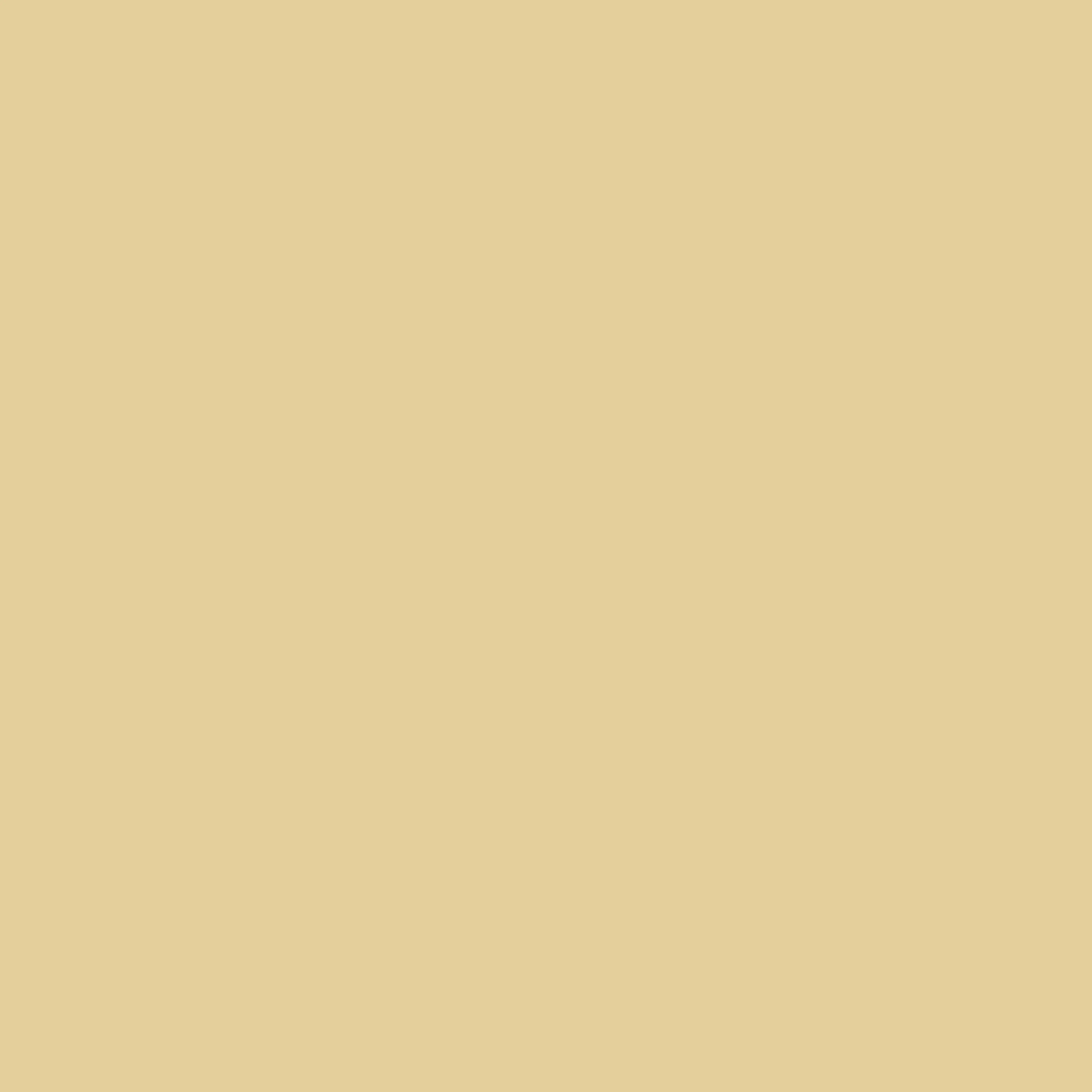 Cricut Smart Sticker Cardstock 33x33cm 10 sheets (Pastels)