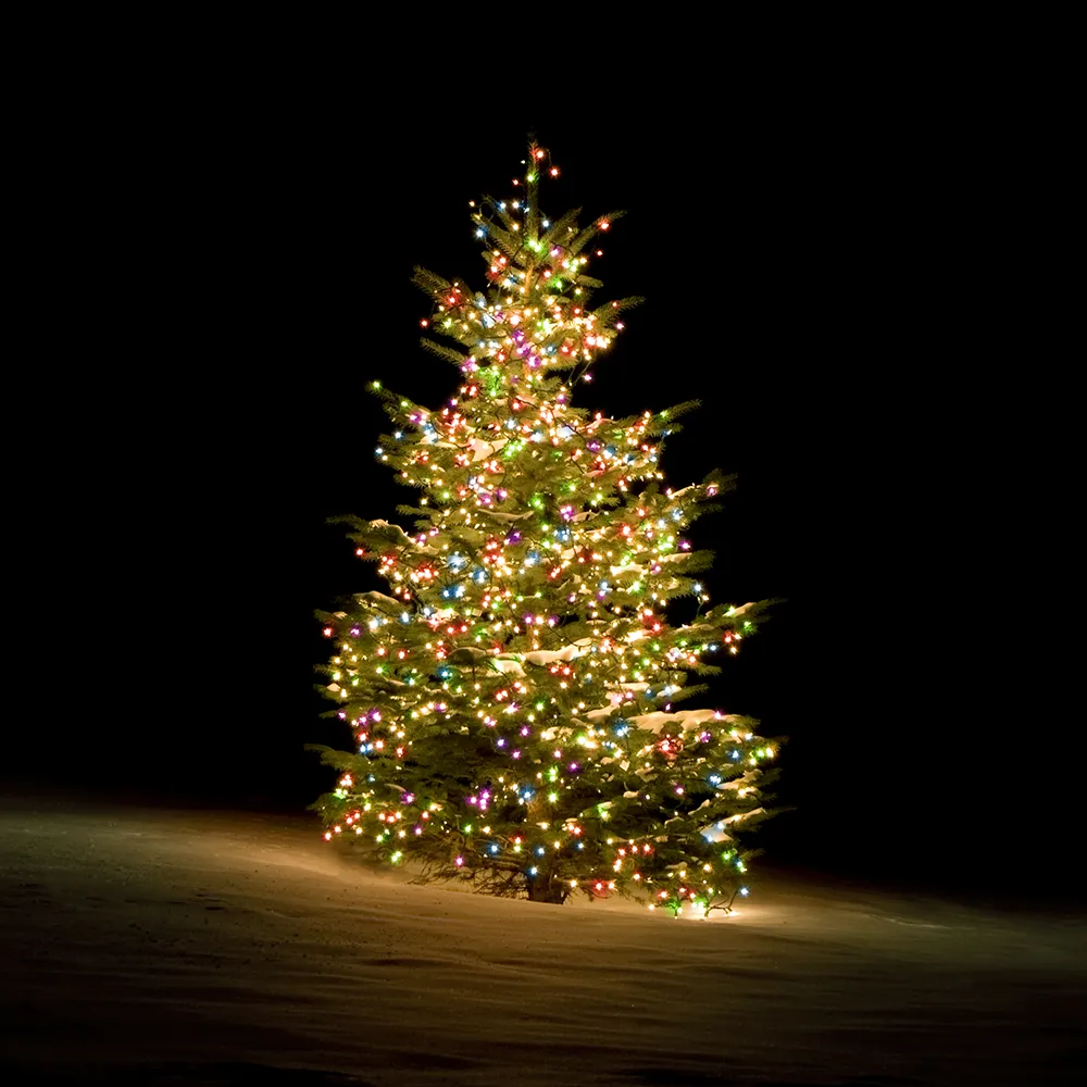 Deltaco Smart Home WiFi - Tree Lights, 270 LED, RGB, 2m