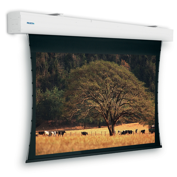 Projecta Ten Elpro L El 4 50x283 MWhite
