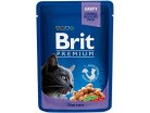 Brit Premium Cat Pouches Family Plate, Wet food for cats, Adult, 12 x 100g