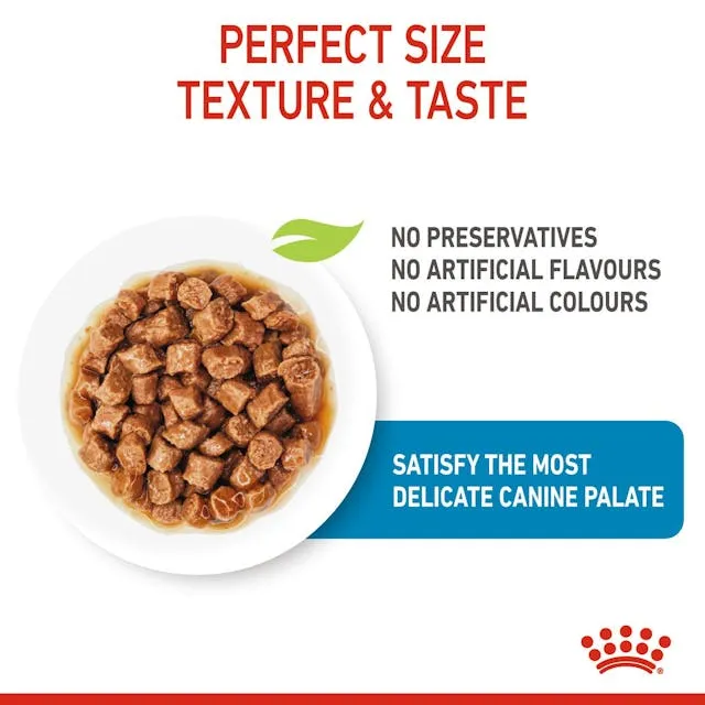 Royal Canin X-Small Adult in Gravy, Wet food for dogs, 12 x 85g