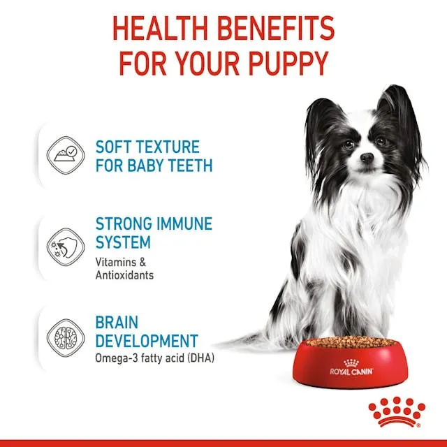 Royal Canin X-Small Adult in Gravy, Wet food for dogs, 12 x 85g