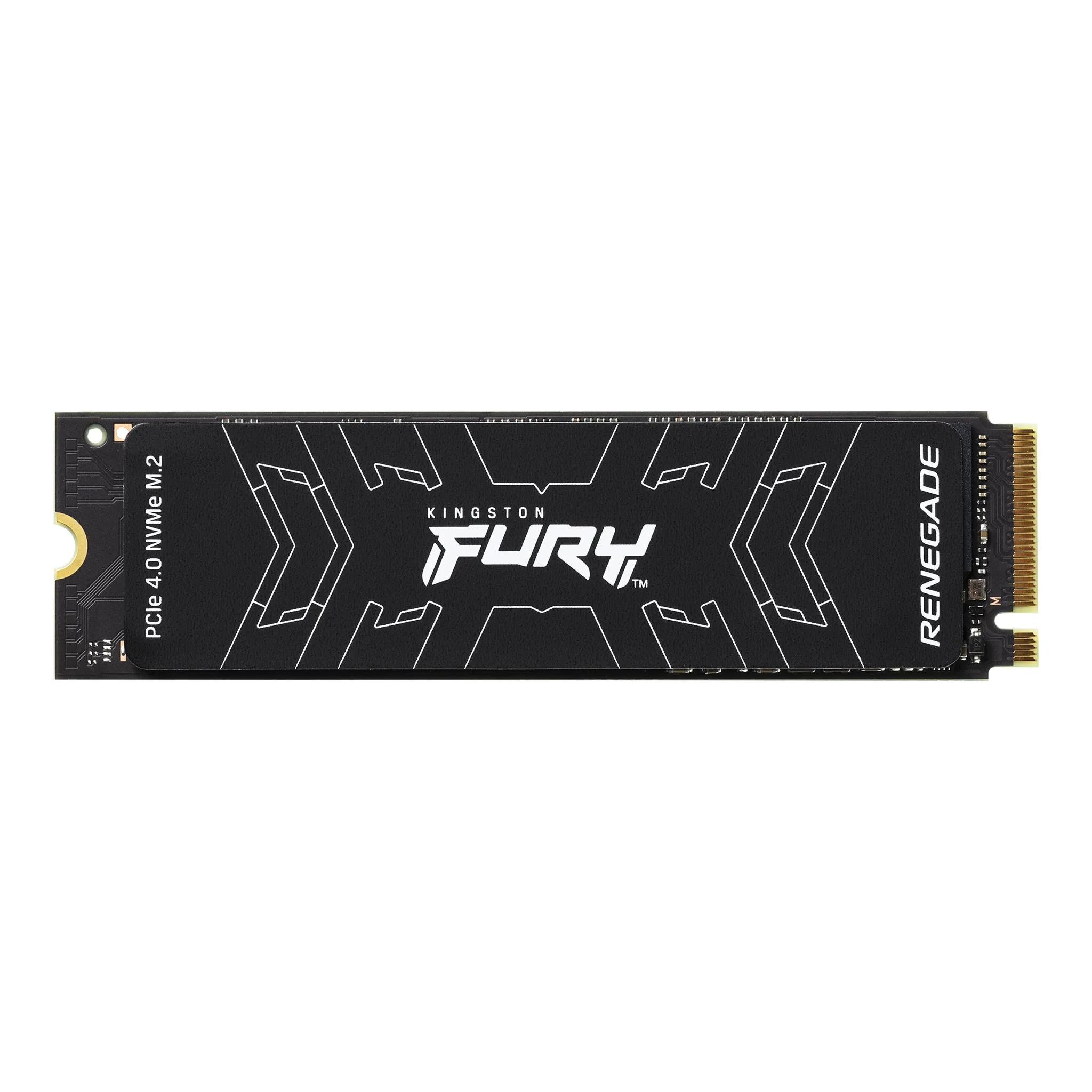 1TB FURY Renegade NVMe M.2 SSD BULK