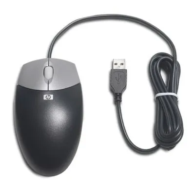 Mouse 2-Button Opt WS4100