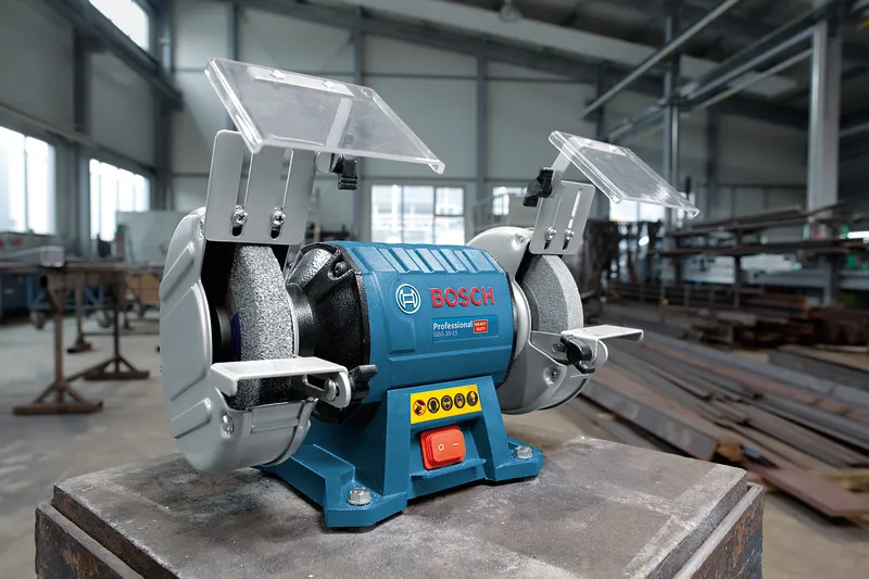 Bosch GBG 35-15 Professional, double grinding&nbsp;(blue / black, 350 watts)