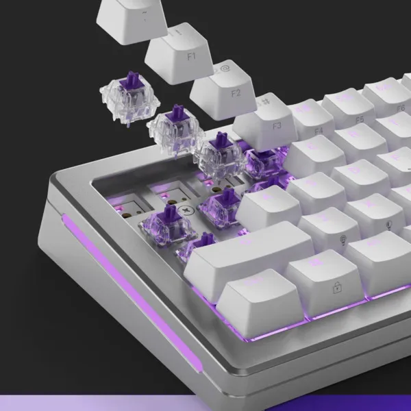 Glorious Mechanical Switches (110pcs) - Mako - Lubed [Tactile] 45g