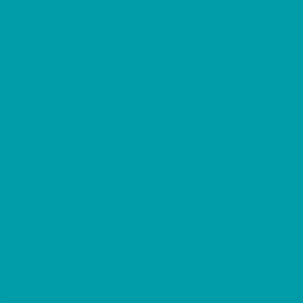 Cricut Smart Vinyl Permanent JOY 14x122 cm 1 sheet (Mat Aqua)