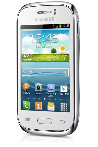 Galaxy Young GT-S6310