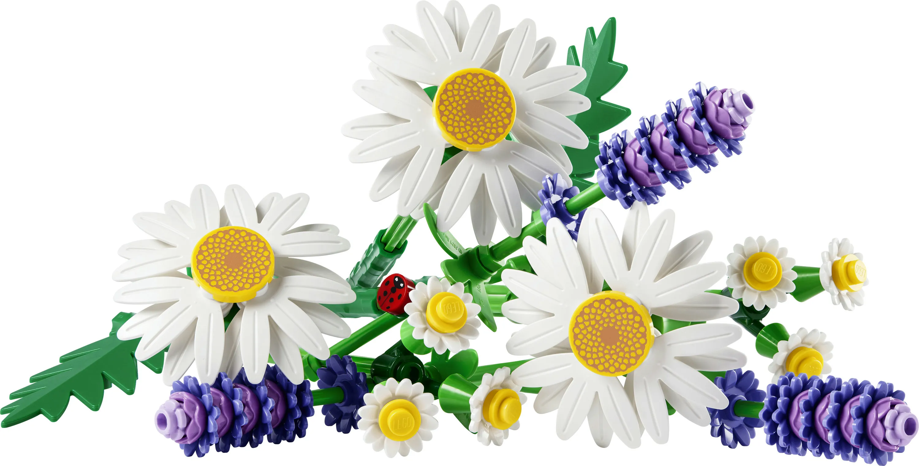 LEGO Botanicals Daisies 11508