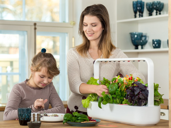 Click and Grow Smart Garden 9 Start kit