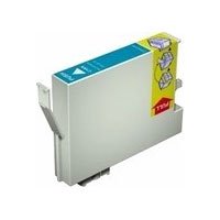 Ink/T623000 240ml Cleaning Cartridge