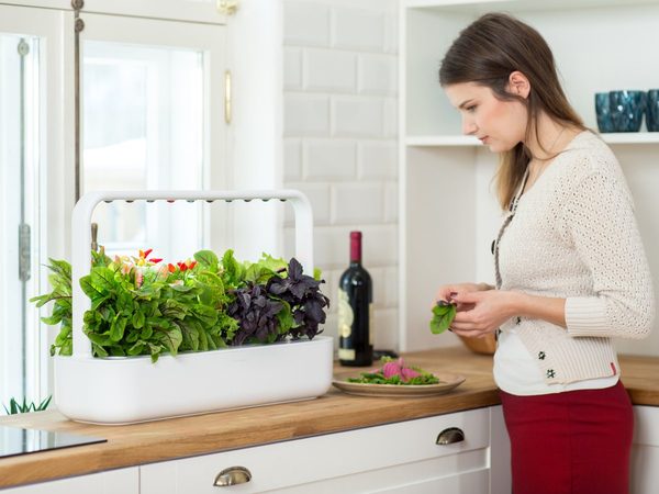 Click and Grow Smart Garden 9 Start kit