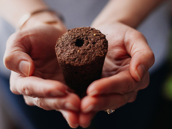 Click and Grow Smart Garden 9 Start kit