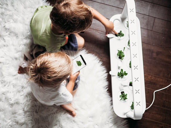 Click and Grow Smart Garden 9 Start kit