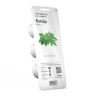 Click and Grow Smart Garden Refill 3-pack - Kattmynta