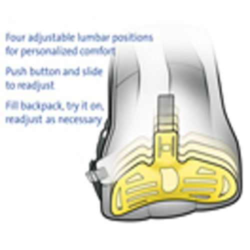 Kensington Contour - notebook backpack, black, 15.6"