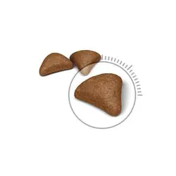 Royal Canin Hairball Care, Kissan kuivaruoka, Adult, 2 kg