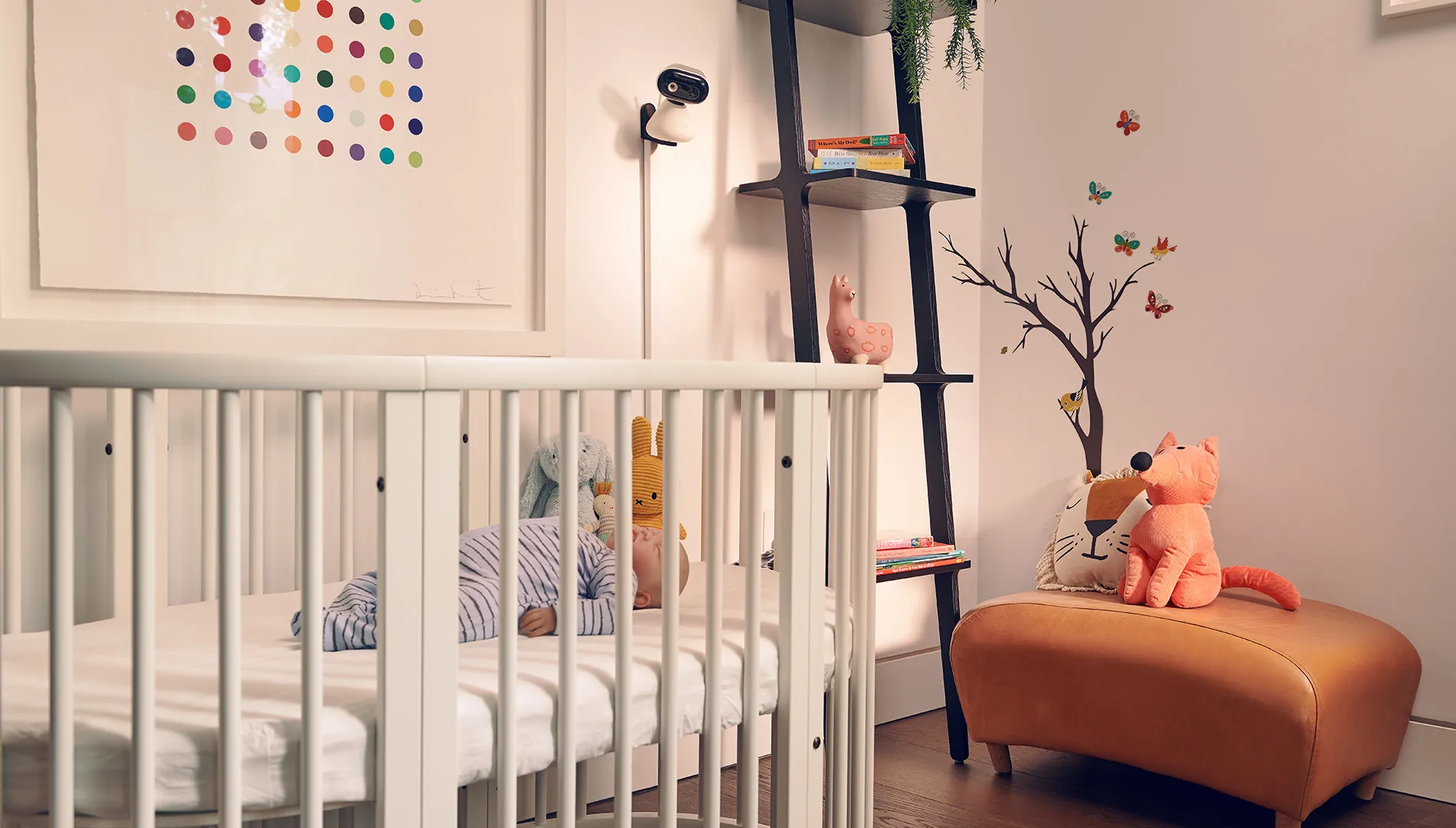 Motorola PIP1500 Video - baby monitor