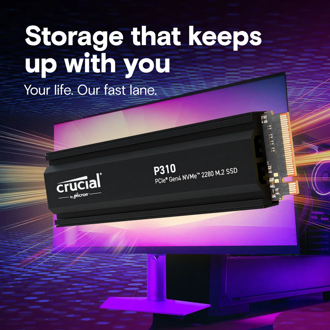 P310 4TB PCIe NVMe M.2 - SSD with heatsink
