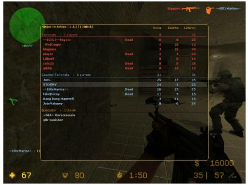 Counter-Strike Source (PC)