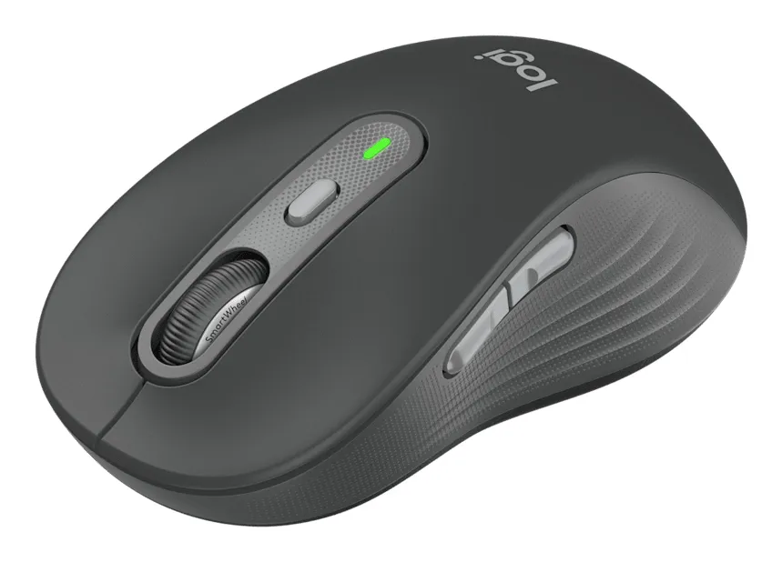 Logitech Signature Plus M750 L Wireless Mouse, Graphite
