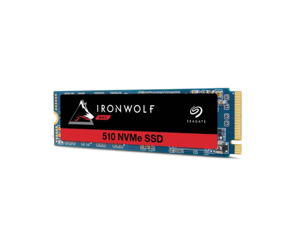 IronWolf 510 SSD 960Gb NVMe retail pack
