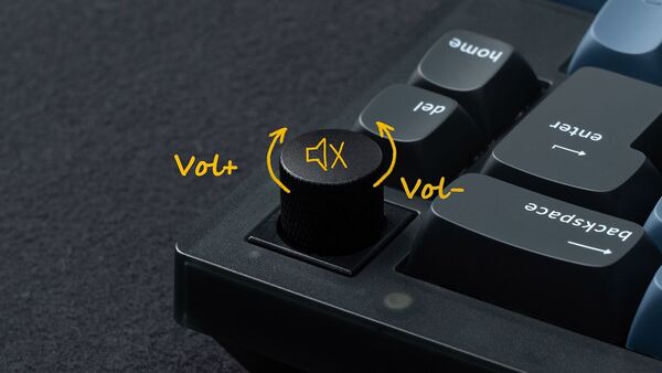 Keychron V2, QMK/VIA, RGB, Hot Switch 65%, Fully Assembled Knob, Frosted Black, K Pro Brown - wireless gaming keyboard