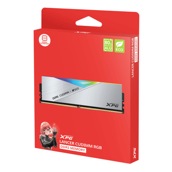 CUDIMM 48 GB DDR5-8800 (2x 24 GB) Dual-Kit (silber, AX5CU8800C4224G-DCLACRSG, XPG Lancer Neon RGB)