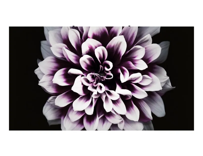 Samsung Smart LED Signage Indoor LED The Wall Pro IW008J Cabinet, 0,84 mm pitch, 960x540 pixels 500 nits, 3840Hz refresh, 100 000 hours LED lifetime, full front