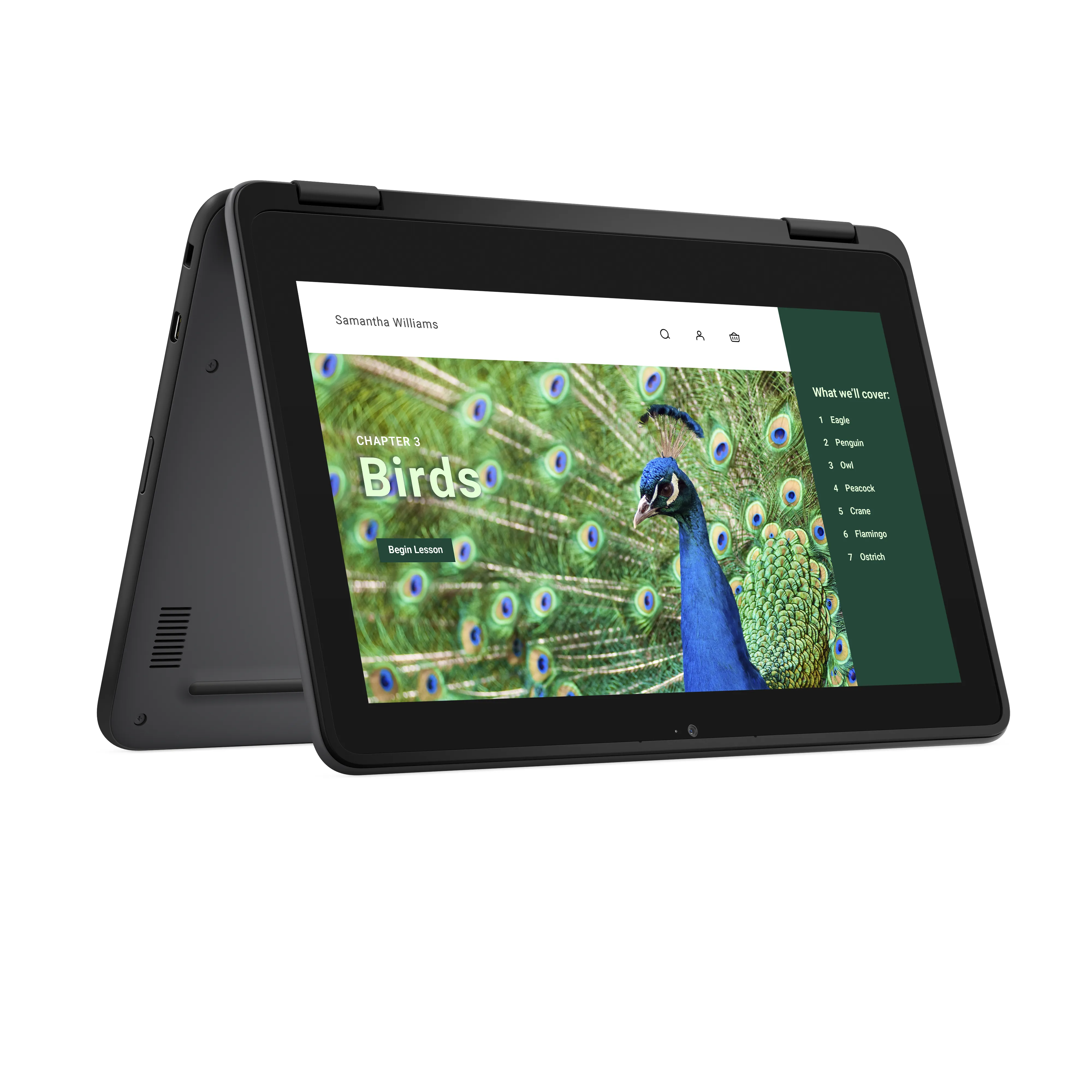 DELL Chromebook 3120 11.6" N100, 4 Gt, 64 Gt -kannettava, musta