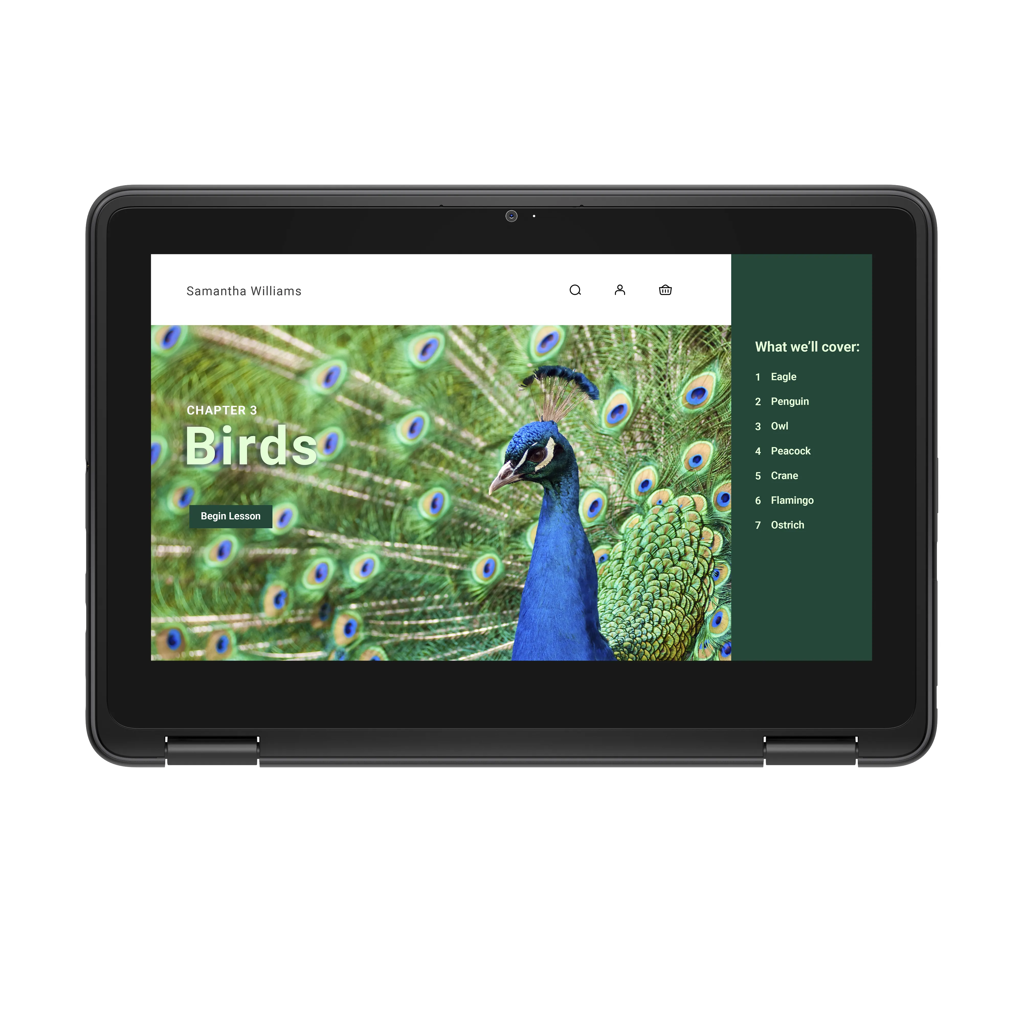 DELL Chromebook 3120 11.6" N100, 4 Gt, 64 Gt -kannettava, musta