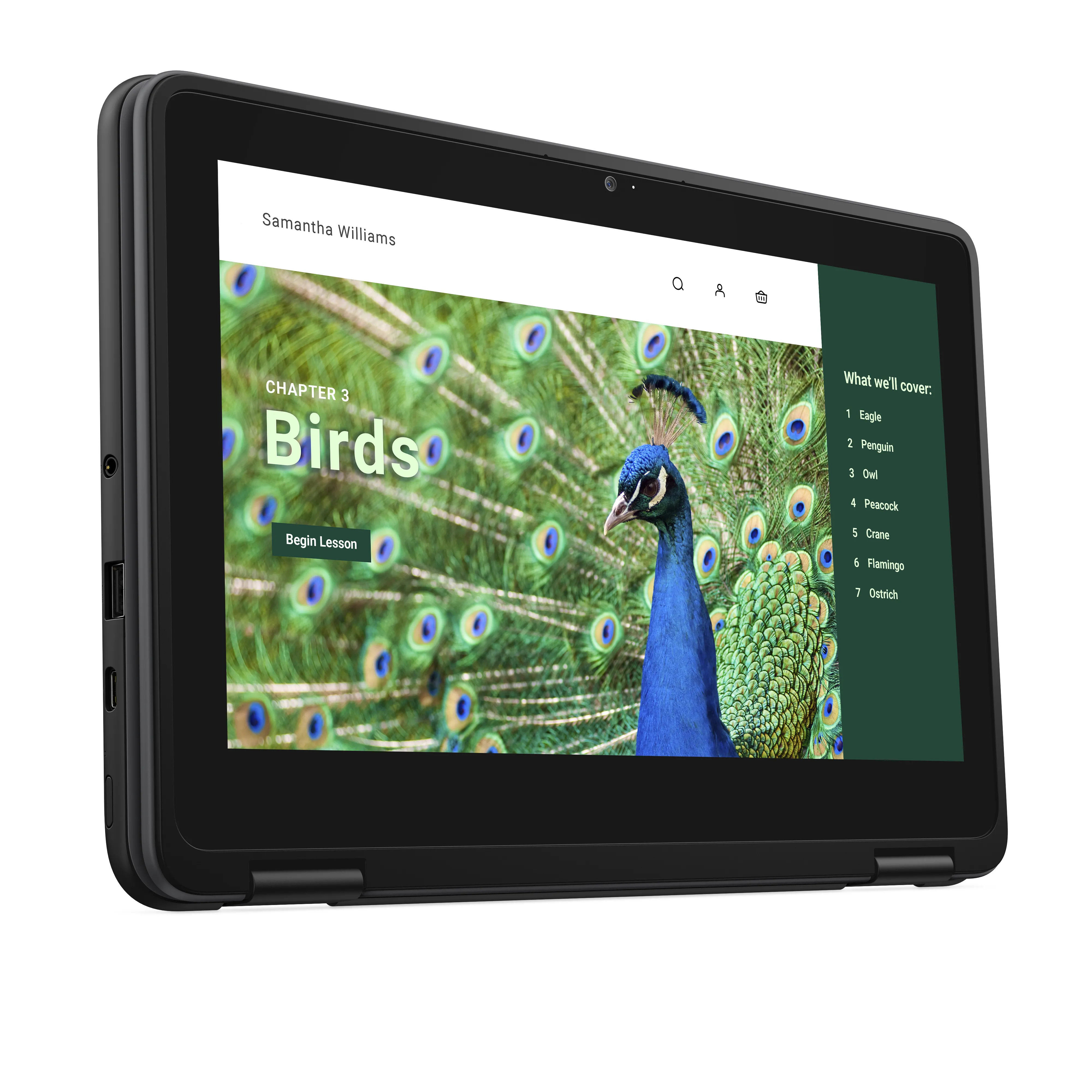 DELL Chromebook 3120 11.6" N100, 4 Gt, 64 Gt -kannettava, musta