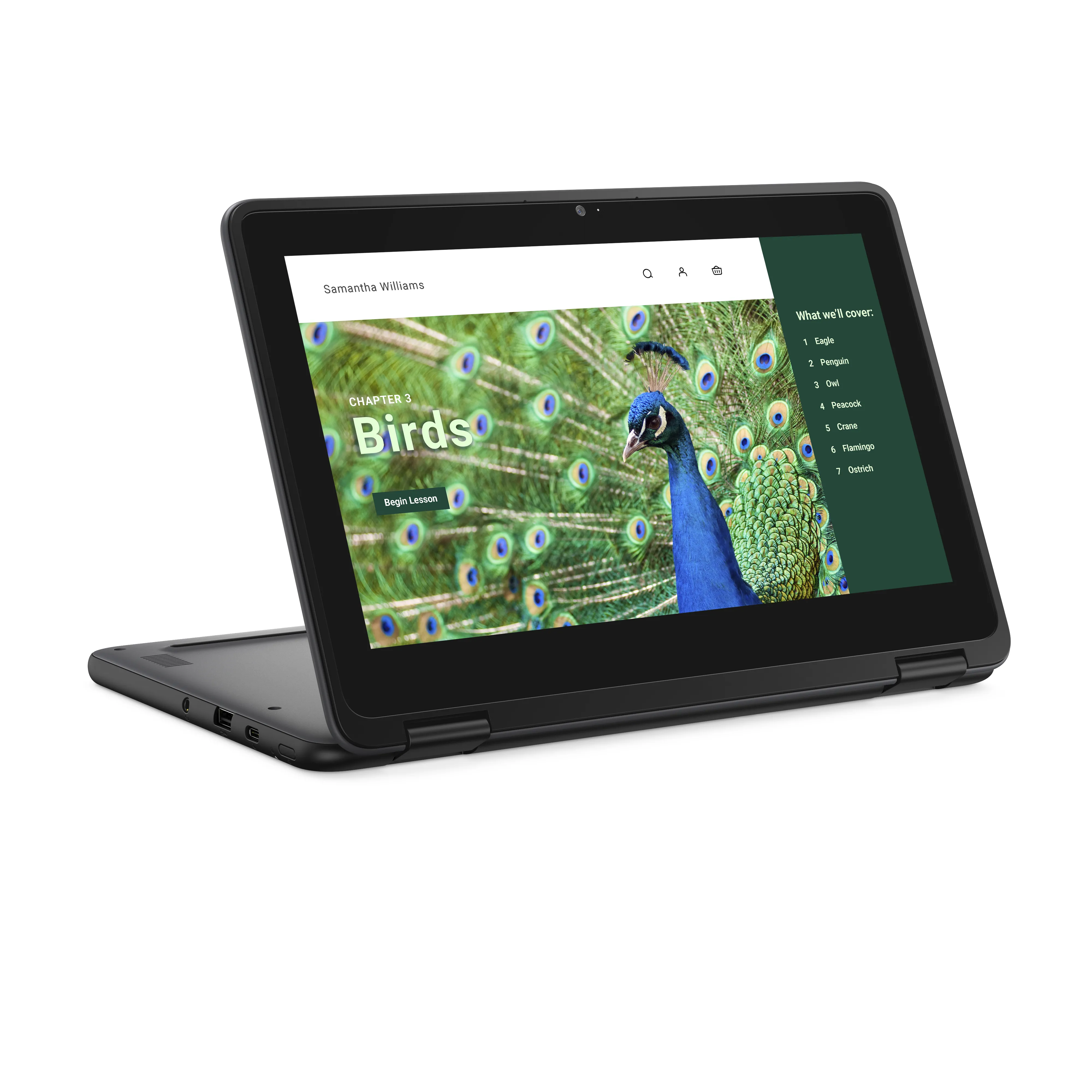 DELL Chromebook 3120 11.6" N100, 4 Gt, 64 Gt -kannettava, musta