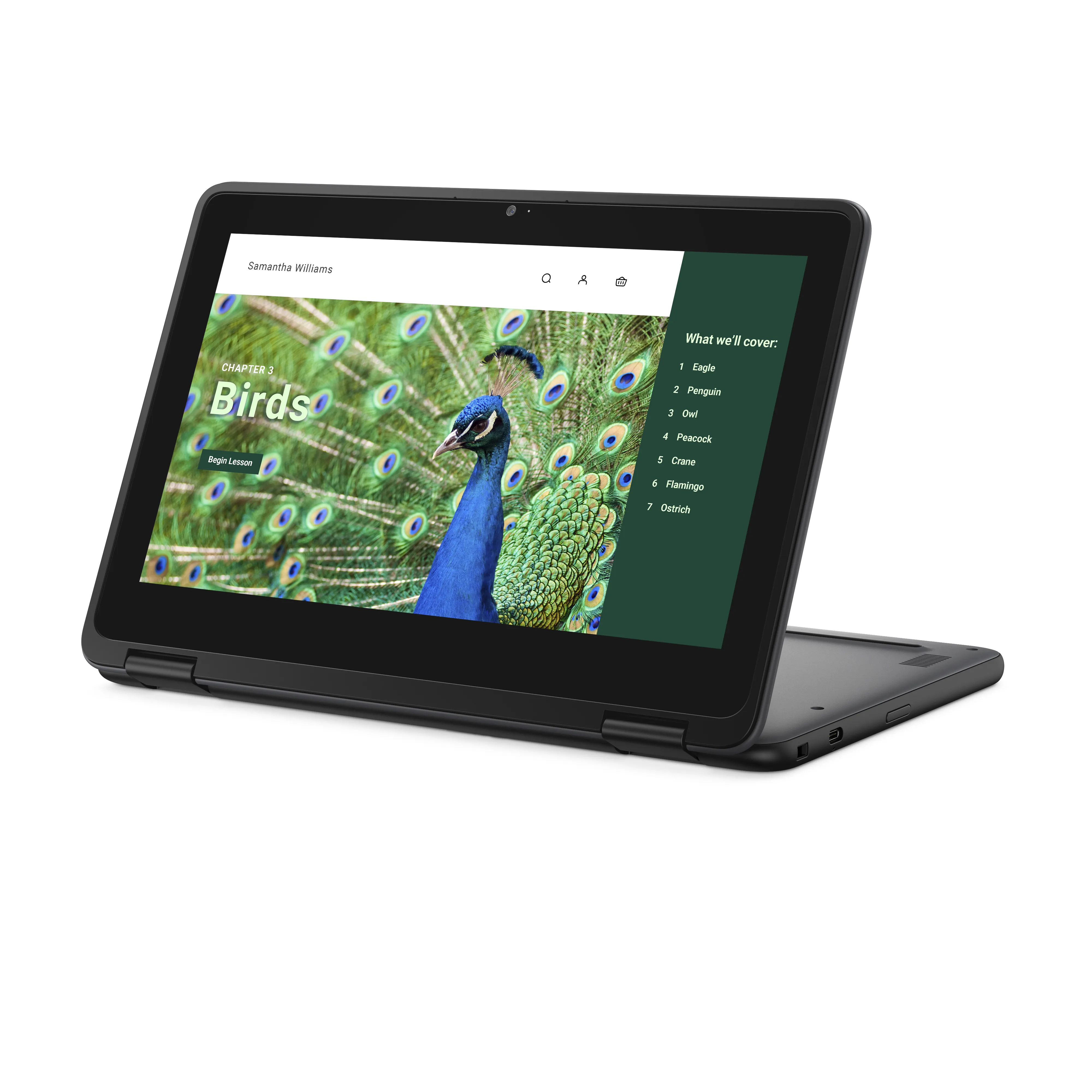 DELL Chromebook 3120 11.6" N100, 4 Gt, 64 Gt -kannettava, musta