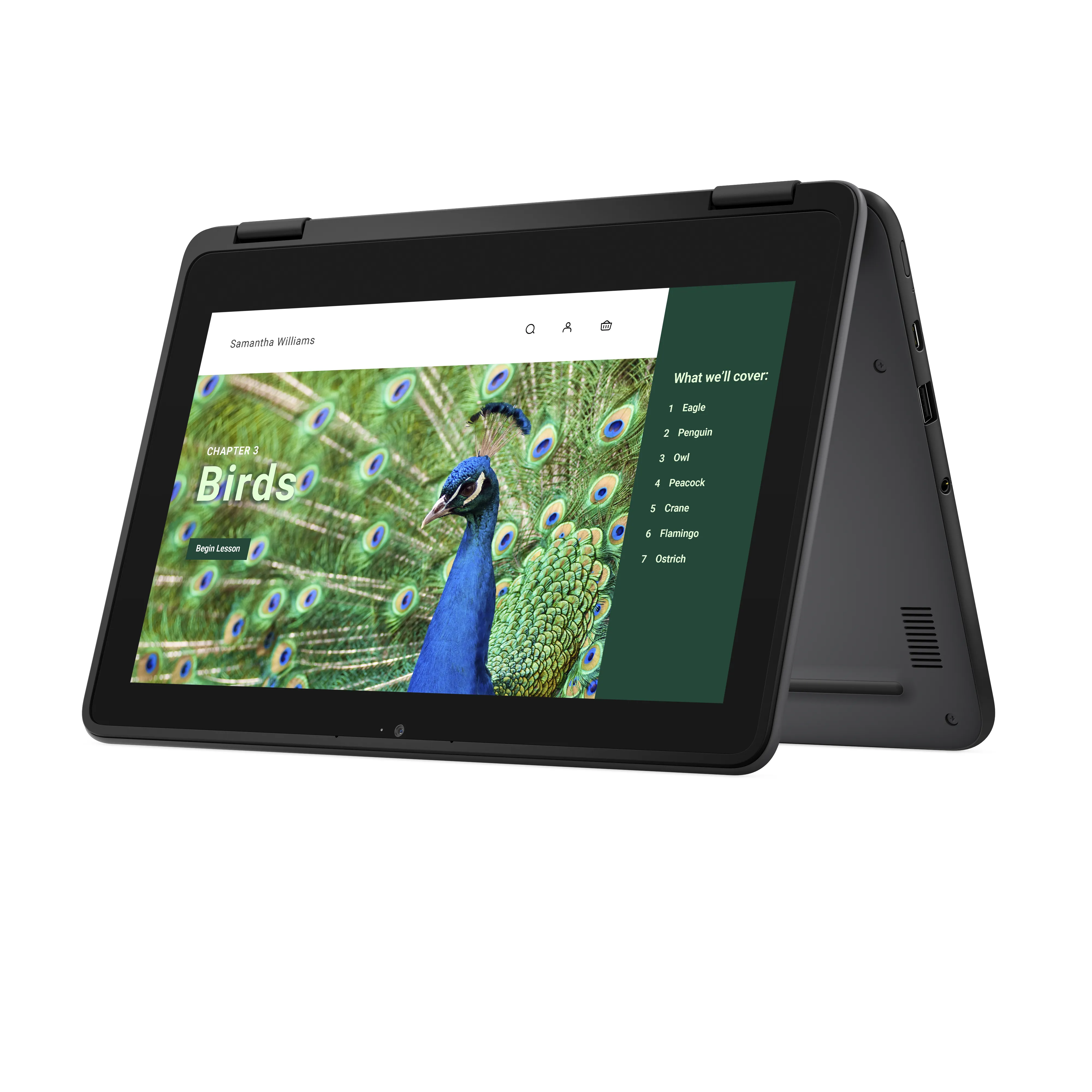 DELL Chromebook 3120 11.6" N100, 4 Gt, 64 Gt -kannettava, musta