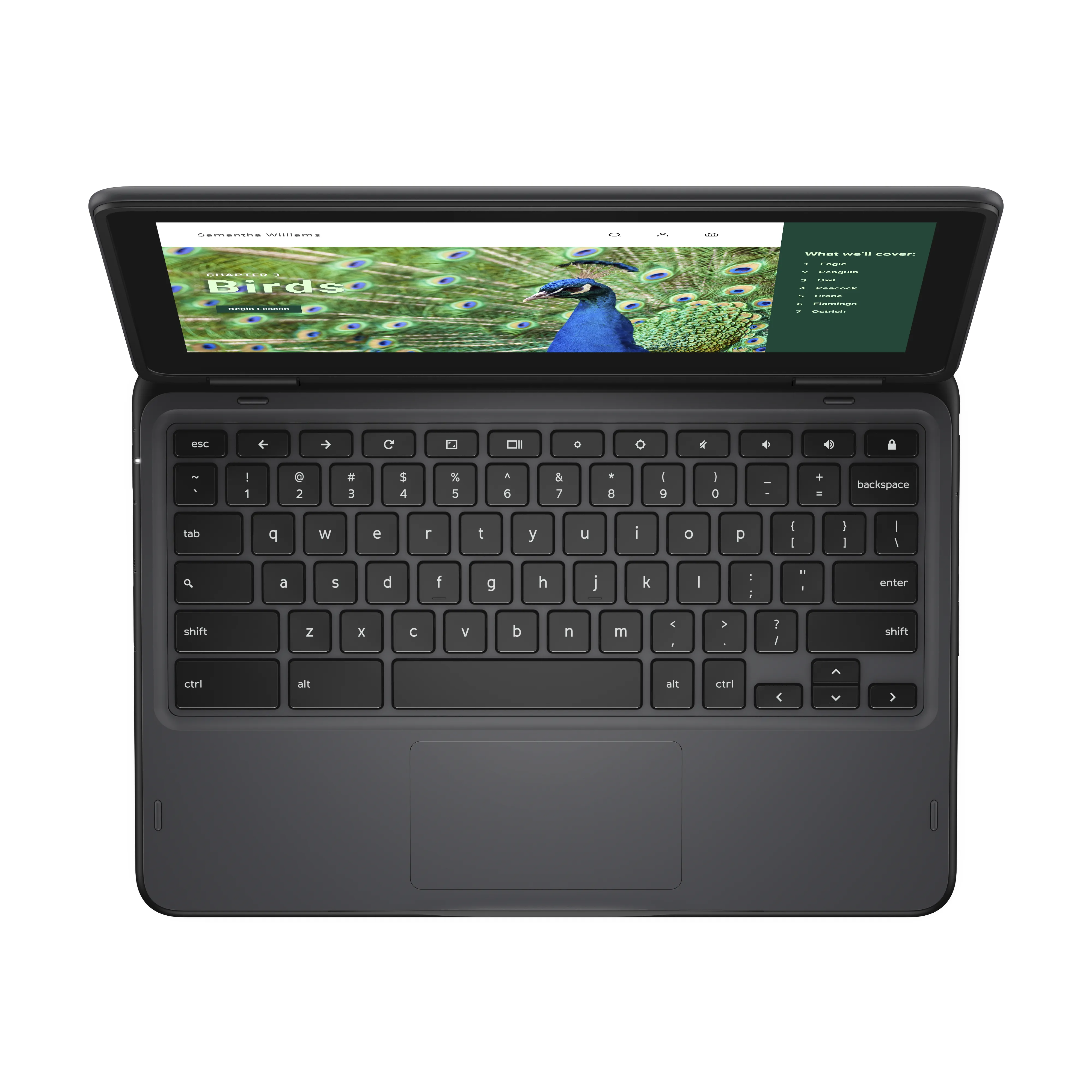 DELL Chromebook 3120 11.6" N100, 4 Gt, 64 Gt -kannettava, musta