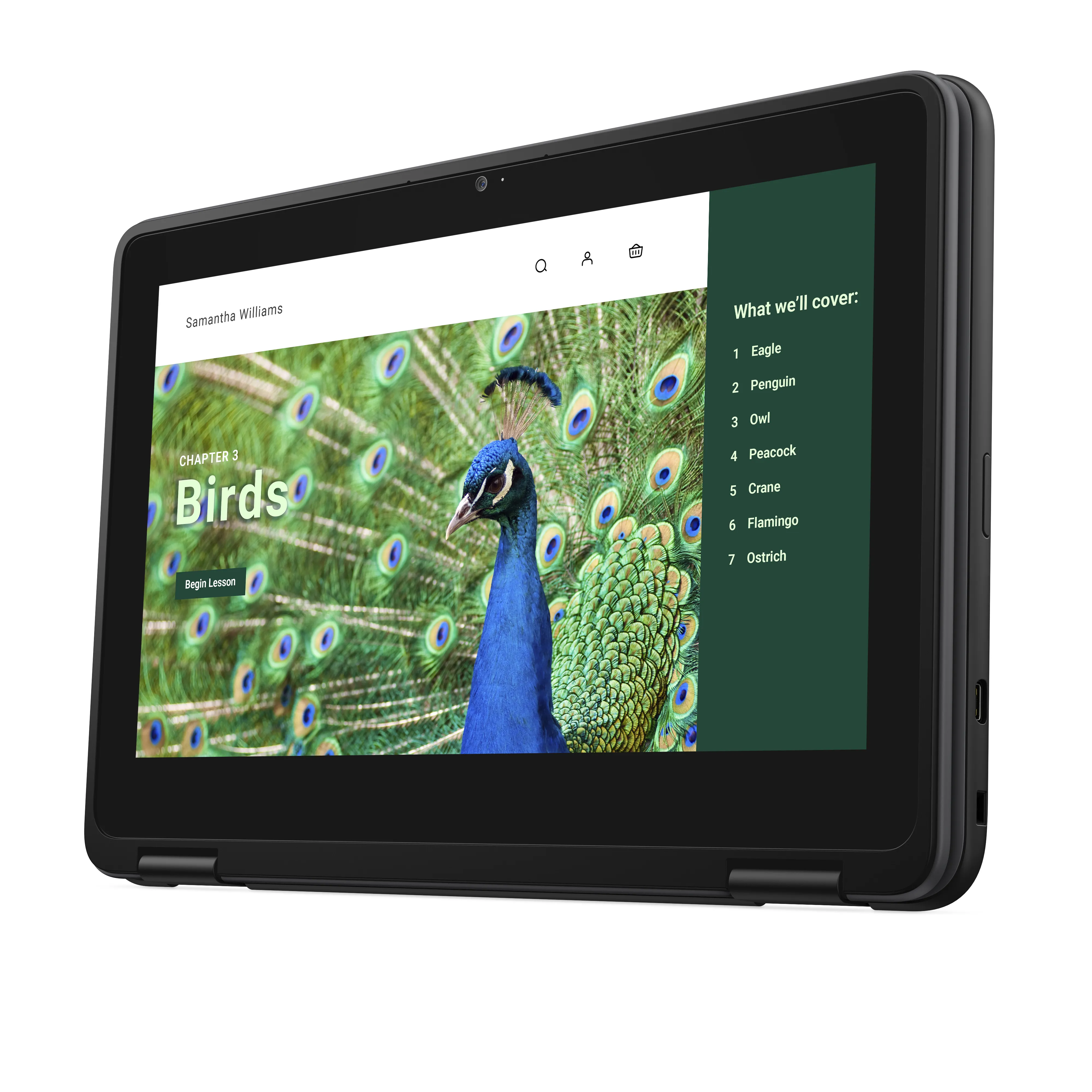 DELL Chromebook 3120 11.6" N100, 4 Gt, 64 Gt -kannettava, musta