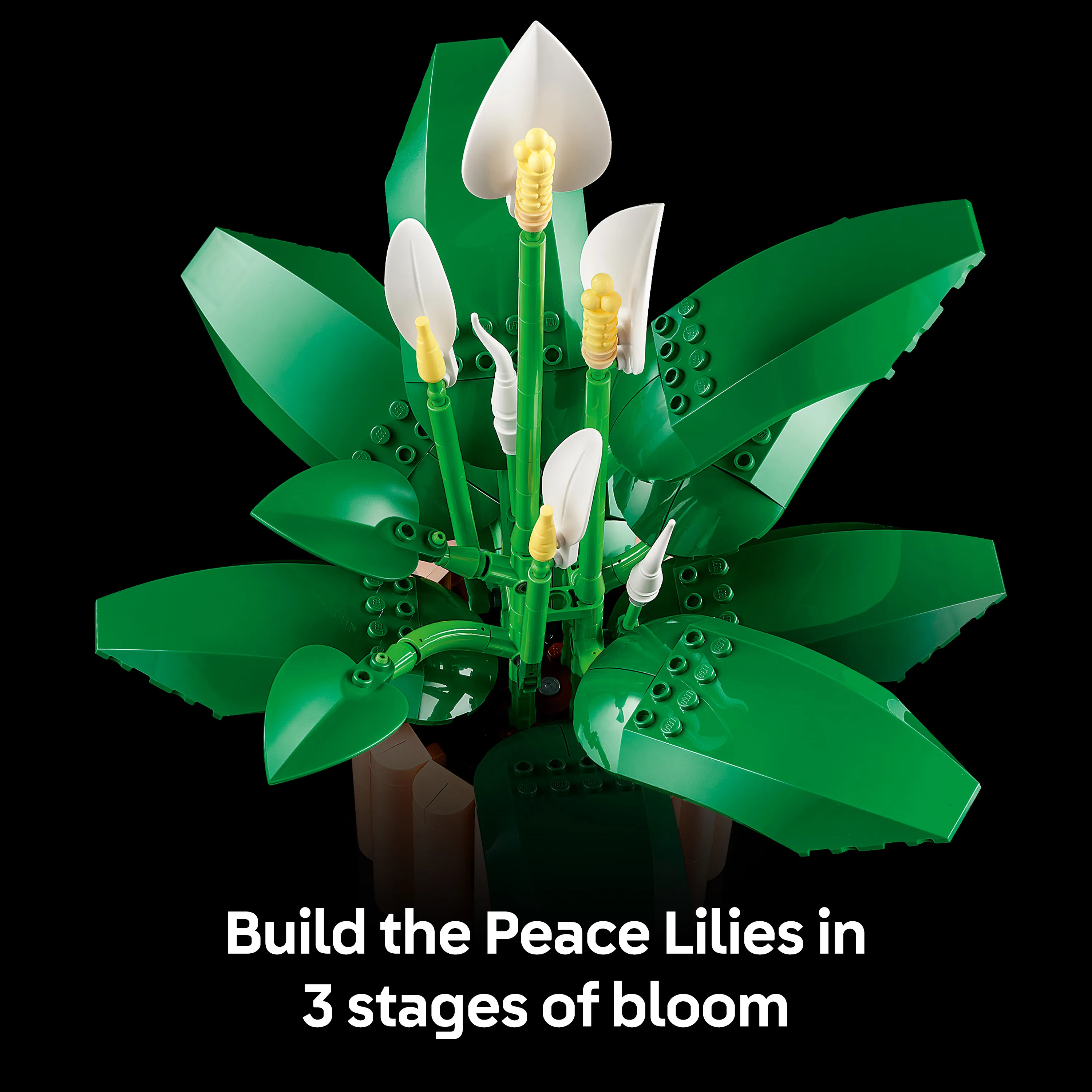 LEGO Botanicals Peace Lily 11504