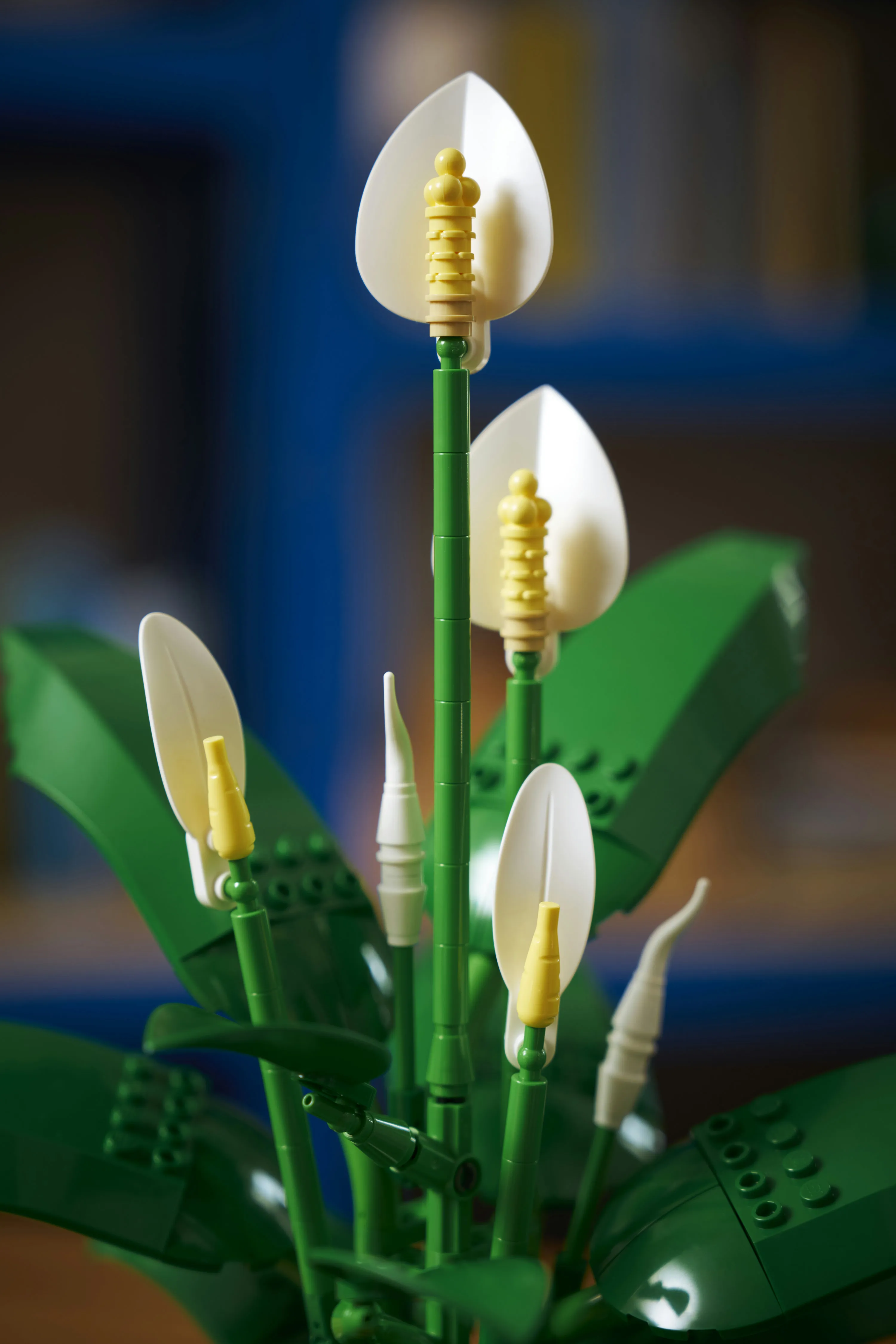 LEGO Botanicals Peace Lily 11504