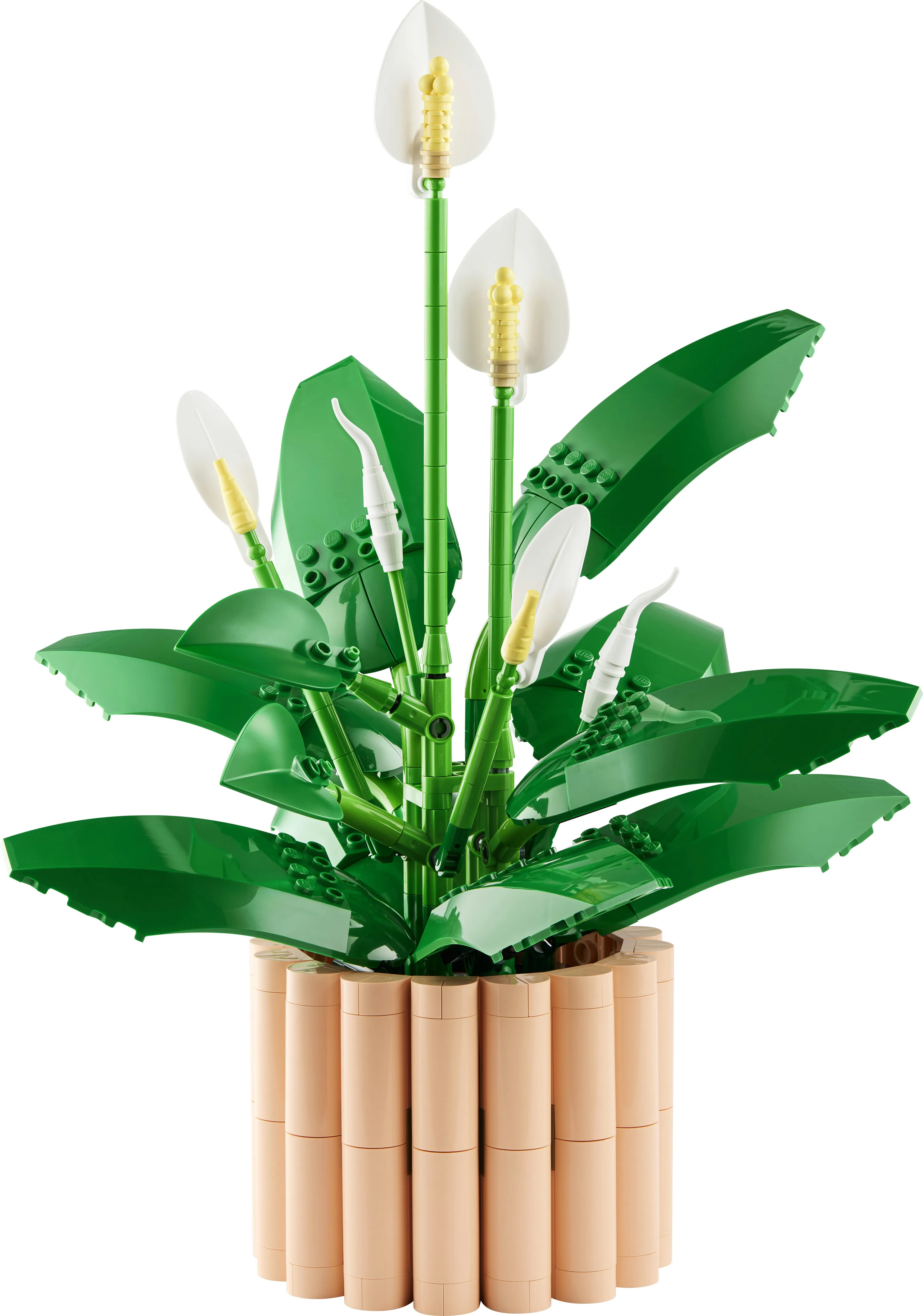 LEGO Botanicals Peace Lily 11504