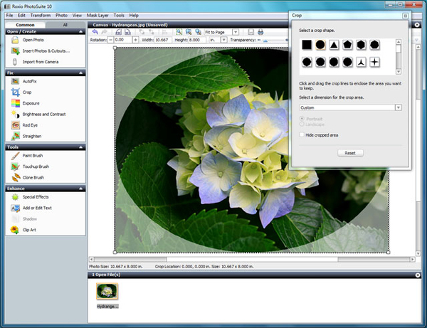 EASY CD &amp; DVD BURNING