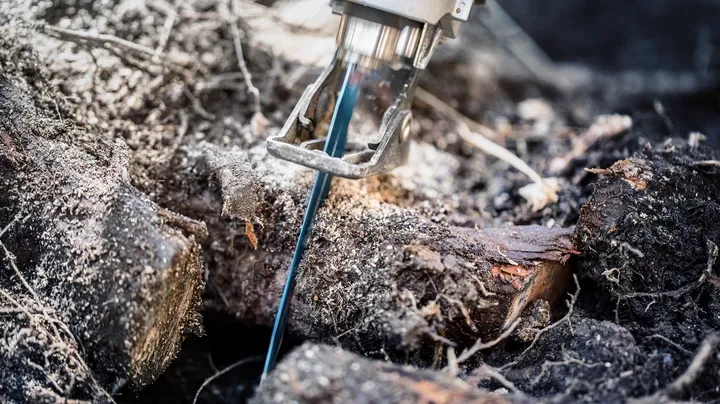 Bosch Expert Tough Wood S 1242 KHM Savklinge Vekselsav